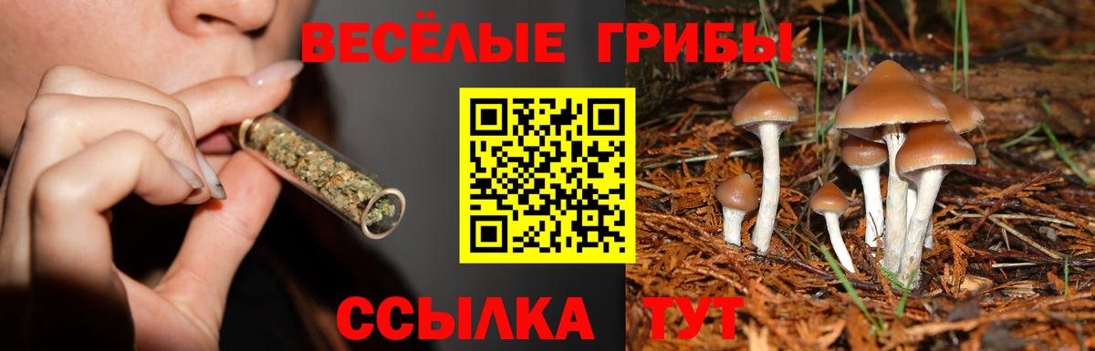 Галлюциногенные грибы ЛСД Гай