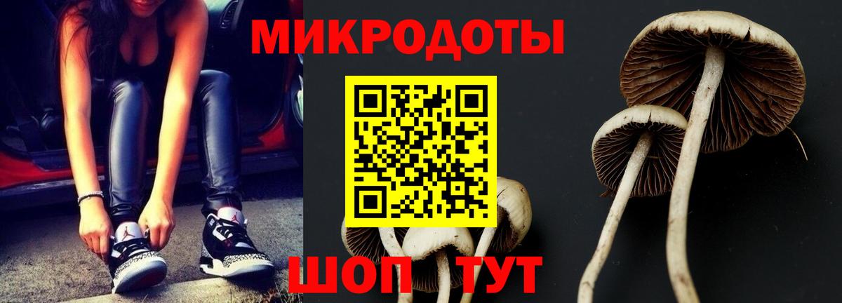 Галлюциногенные грибы Psilocybe  Псилоцибиновые грибы GOLDEN TEACHER  Гай  Вход с VPN 